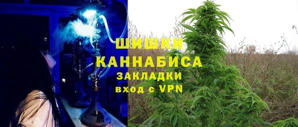 не бодяженный Богородицк