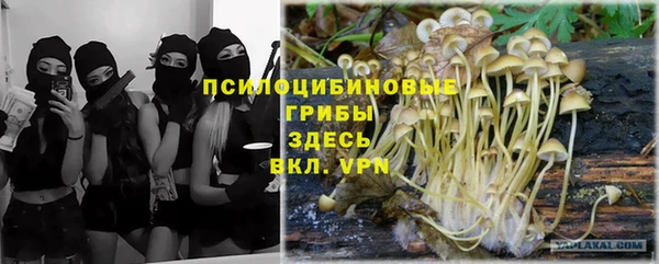не бодяженный Богородицк