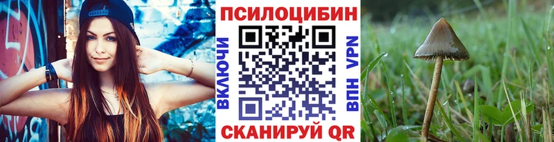 Псилоцибиновые грибы GOLDEN TEACHER  Нижний Новгород 